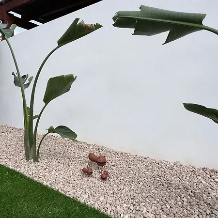 Lalola - Privado 아파트