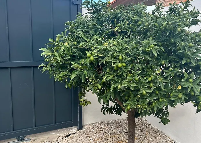 Apartment Lalola - Privado *