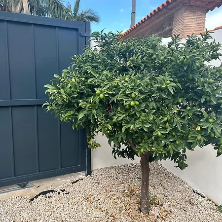 アパート Lalola - Privado *